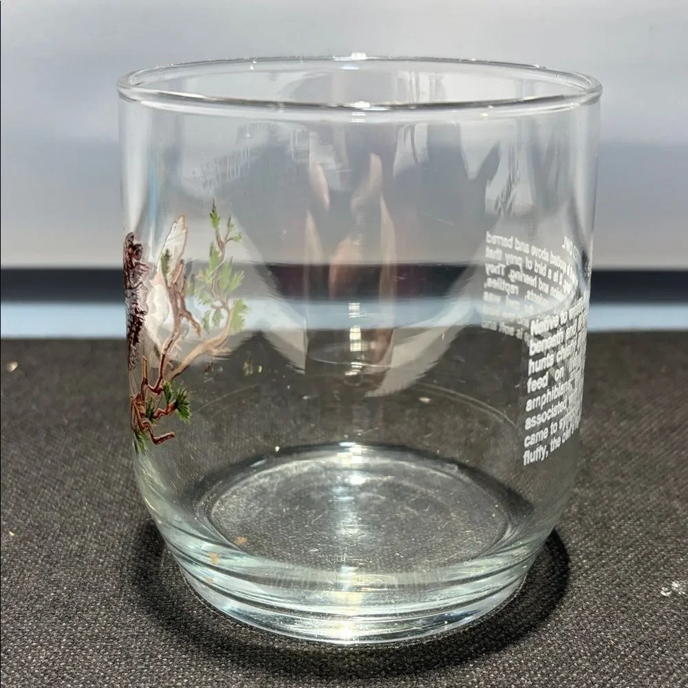 One Owl Design drink Glass